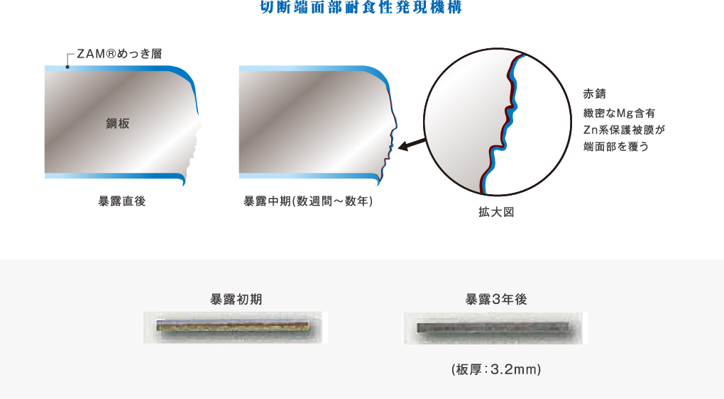 切断端面部耐食性発現機構